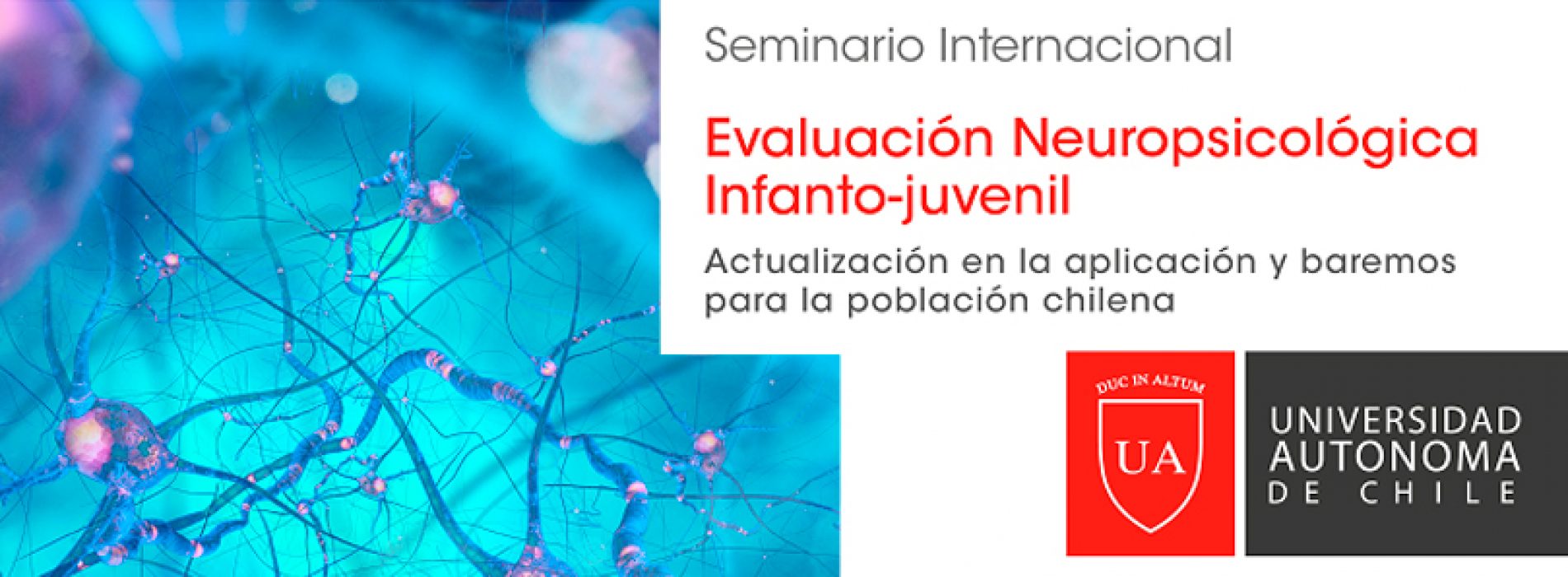 International Seminar: Evaluation Neuropsychological Infanto-Juvenil