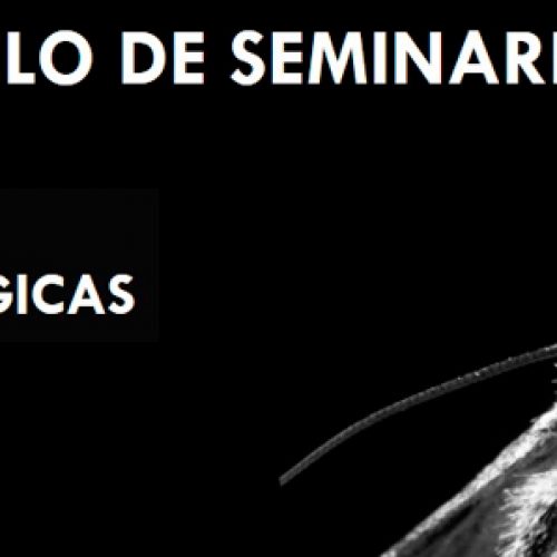 Charla Utilización de simioquímicos para el manejo de polillas de la fruta.