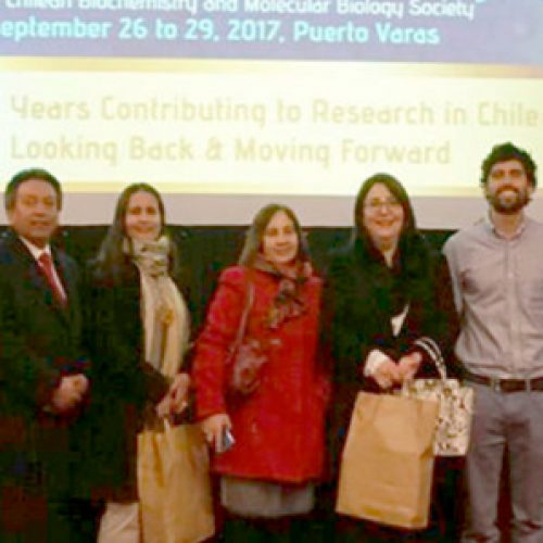 Colegios municipales de Puerto Varas recibieron importante donación