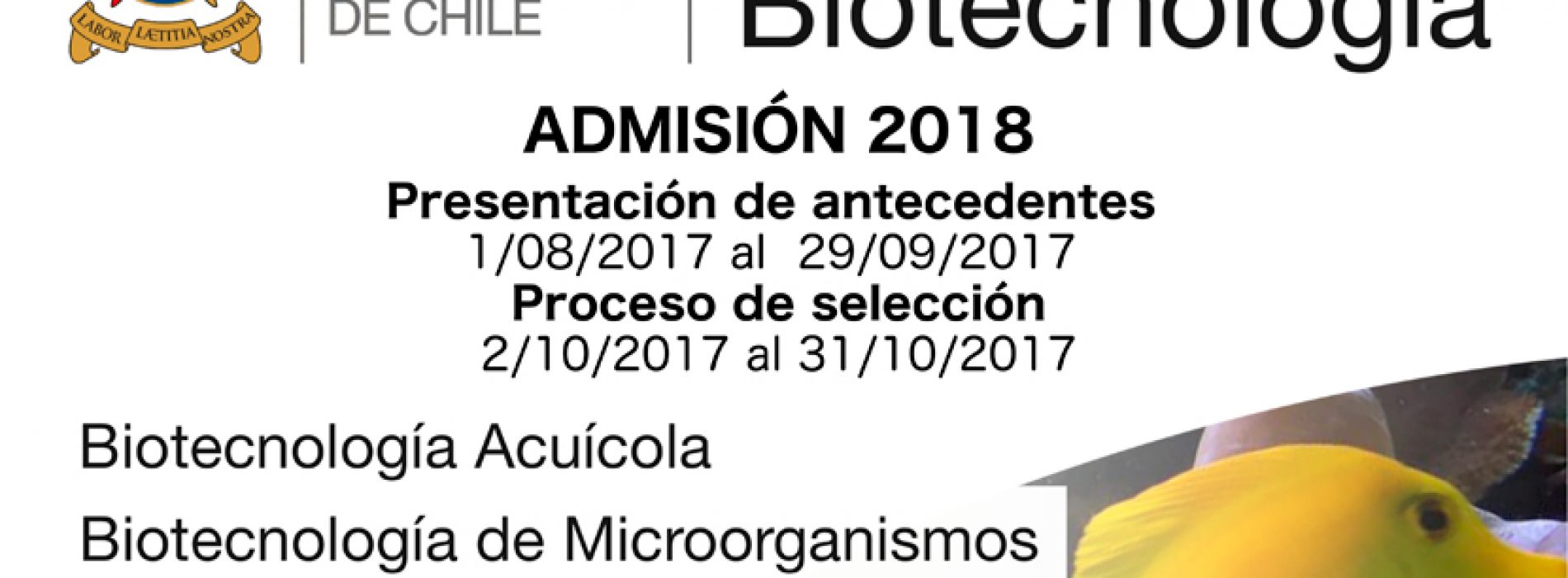 Proceso de Admisión del Doctorado en Biotecnología USACH