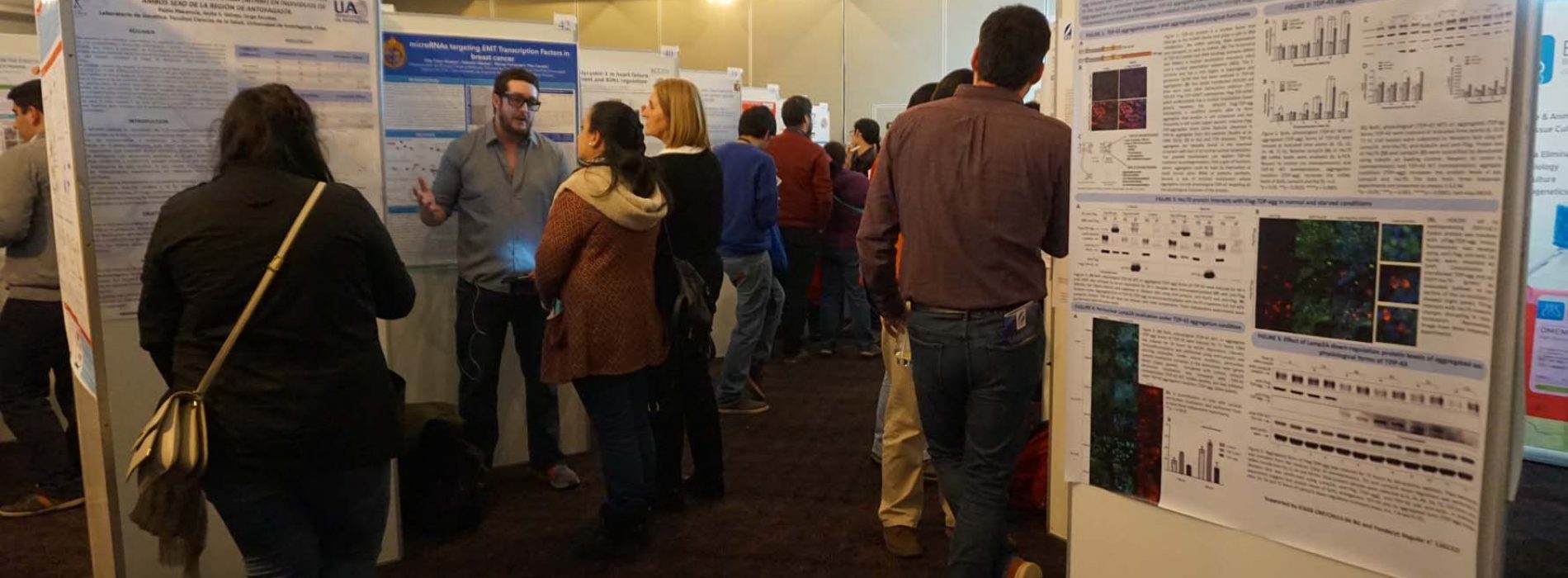 Day 2 of the XL annual meeting of the society of Biochemistry and Molecular Biology