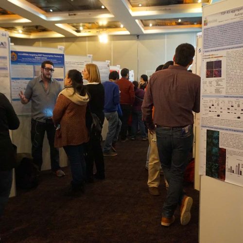 Día 2 de la XL Reunión Anual de la Sociedad de Bioquímica y Biología Molecular