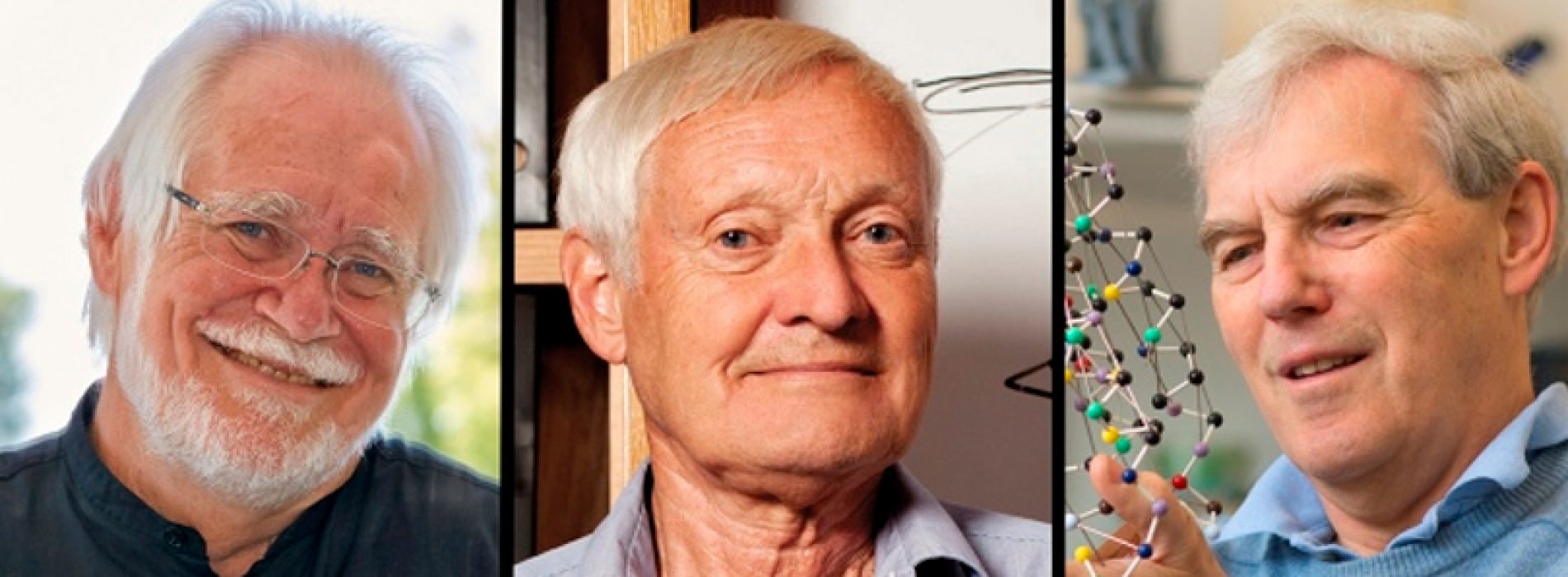 Cryo-electron microscopy wins chemistry Nobel