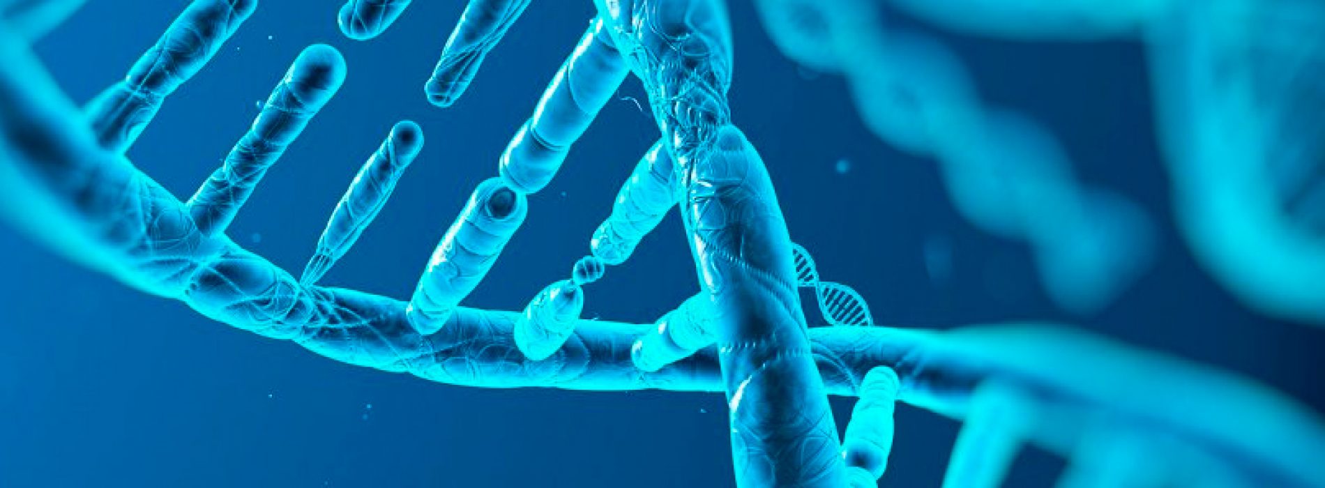International Workshop: "Biostatistical analyses of genetic variants"