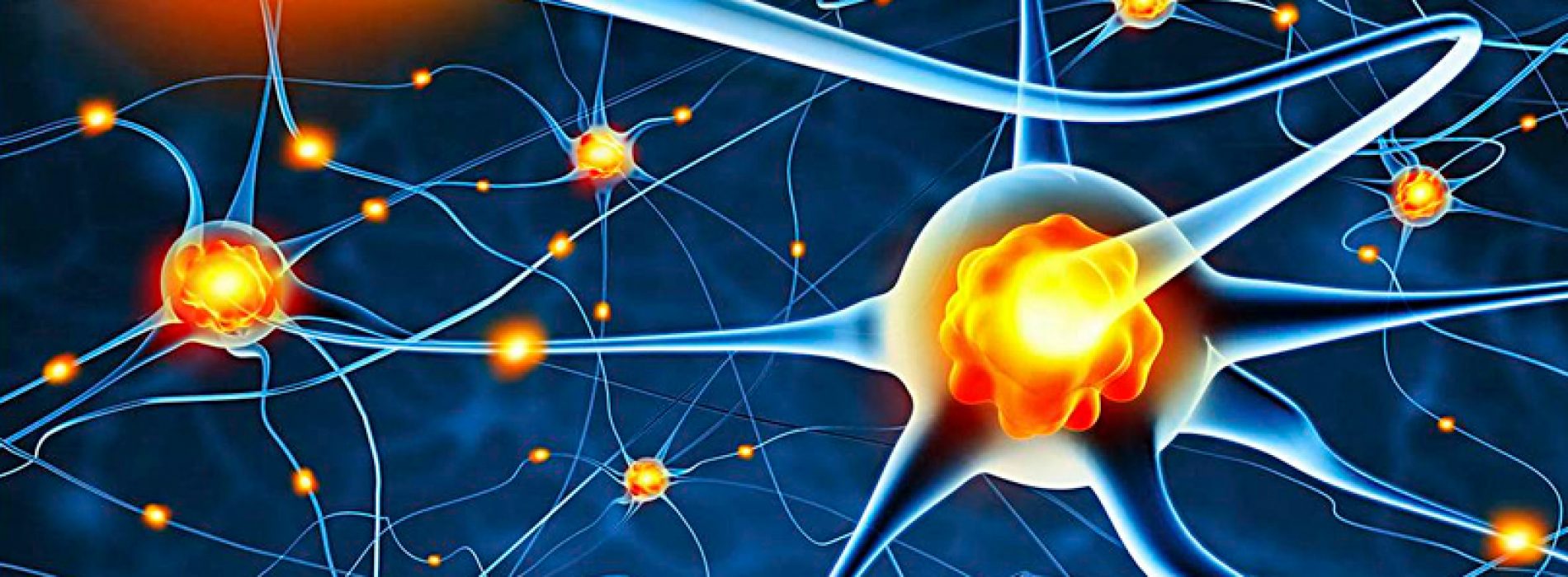 CEMC - ACCDiS - special seminar Friday November 03 Dr Rodrigo Herrera-Molina