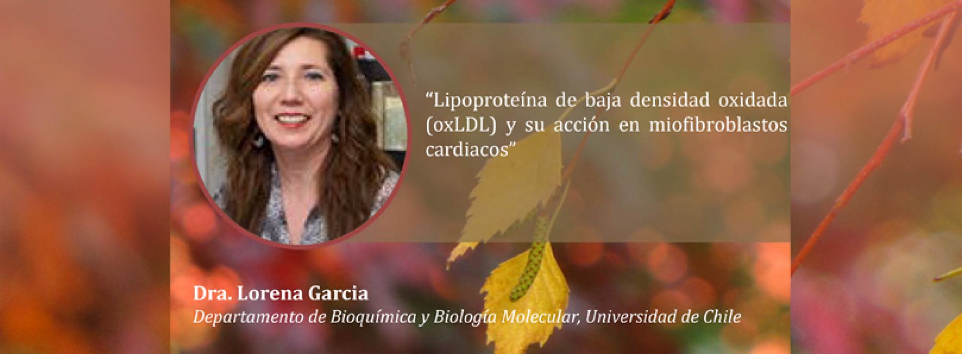Seminar "Lipoprotein (oxLDL) oxidized low-density and its action on cardiac myofibroblasts"