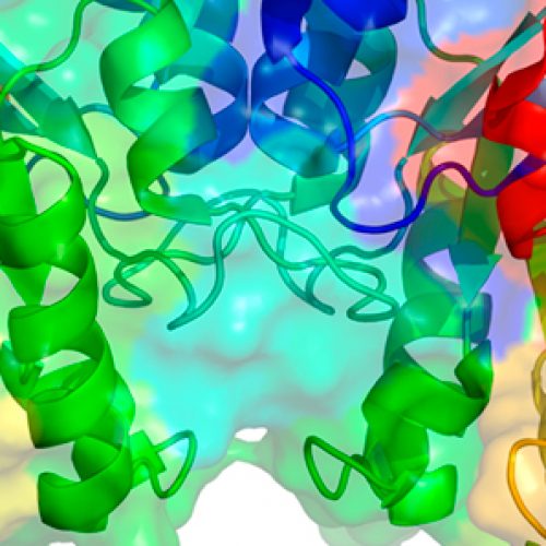 Laboratorios portátiles de estructuras de proteínas y enzimas