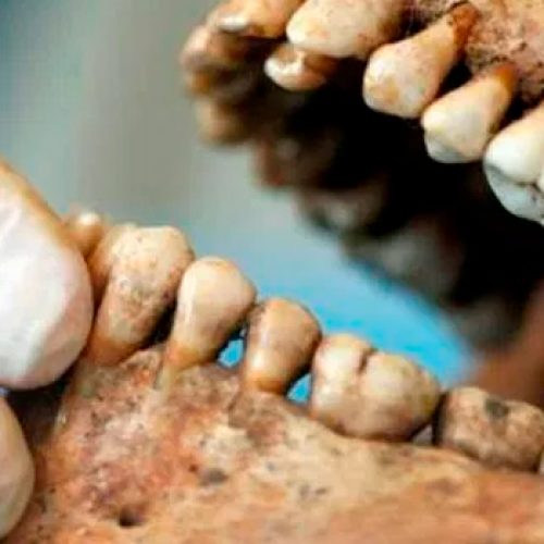 Simposio «Antropología Dental y Genética Antropológica: estado actual y perspectivas en modelos humanos y de otros mamíferos»
