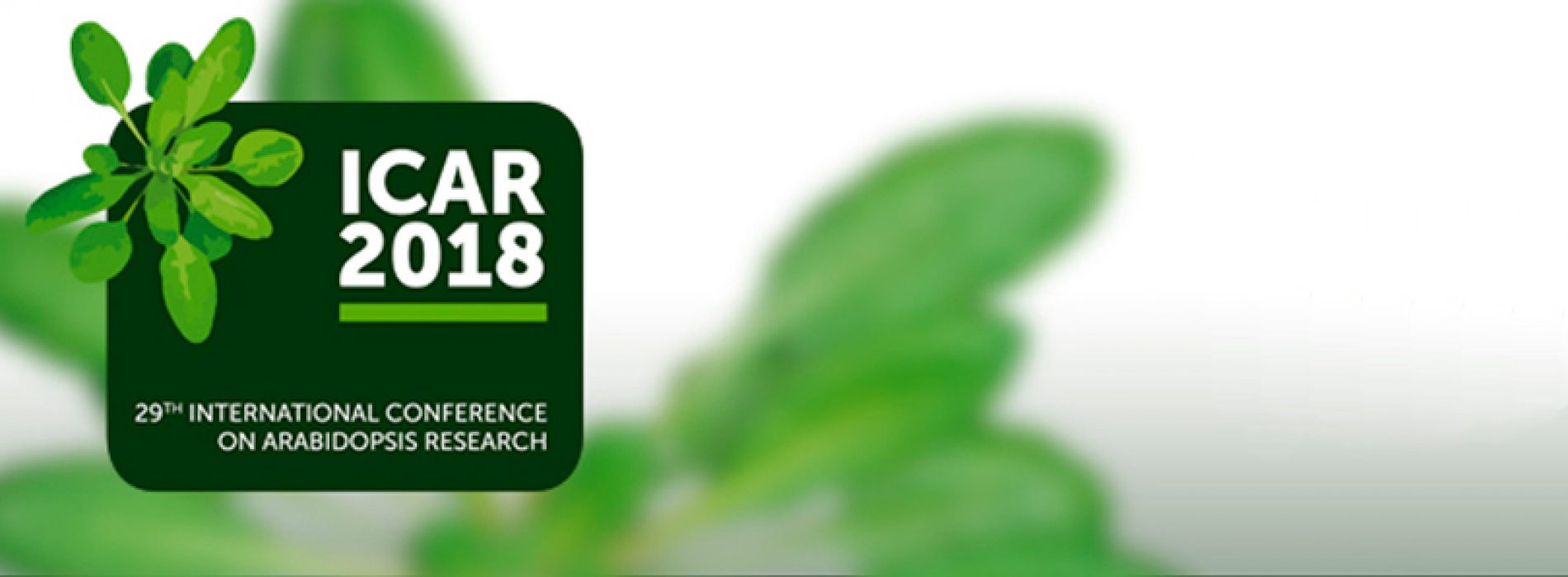 International Conference on Arabidopsis Research ICAR 2018