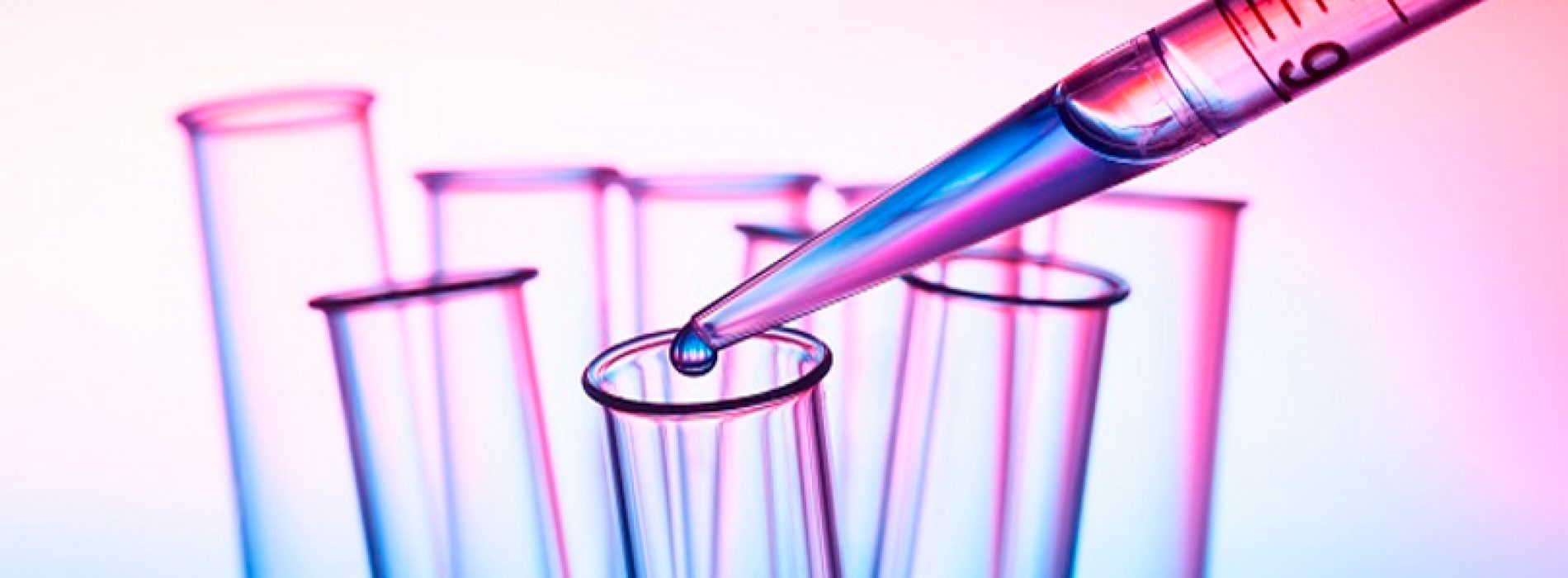 Hechos e hitos de la Bioquímica y Biología Molecular de Chile en los últimos 50 años