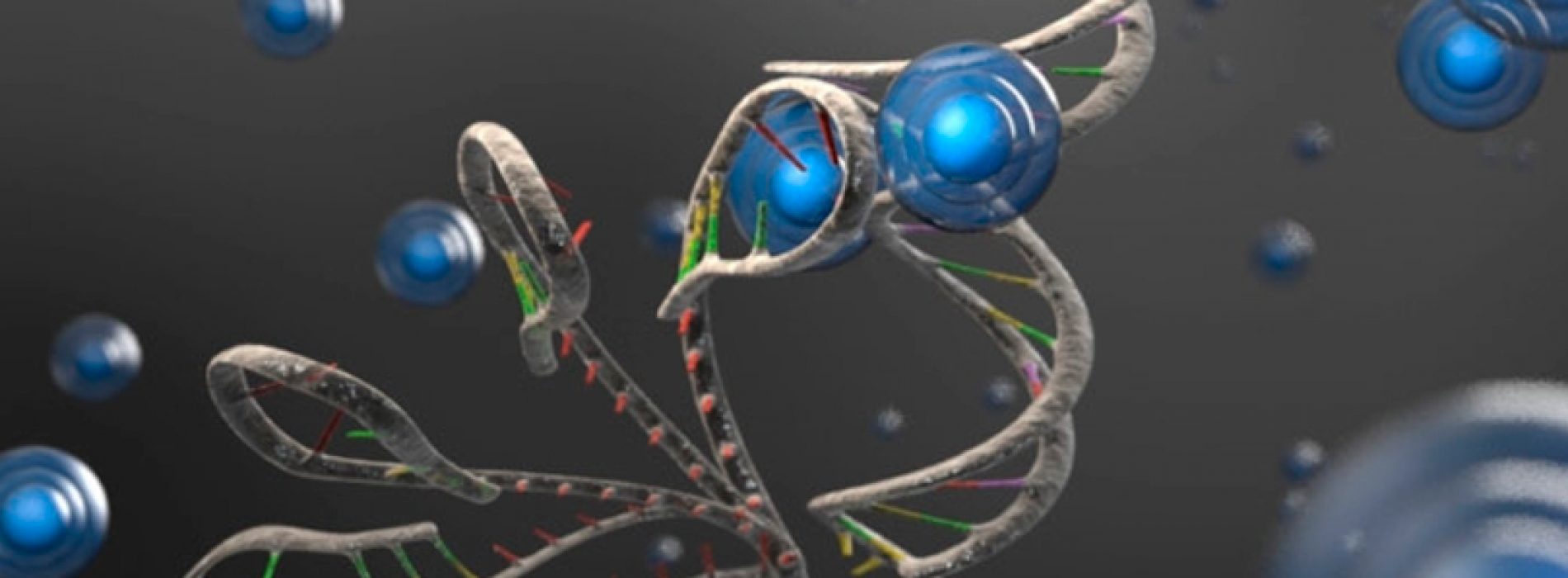 Seminario “How do proteins domain talk to each other: Insights from single molecule biophysics”