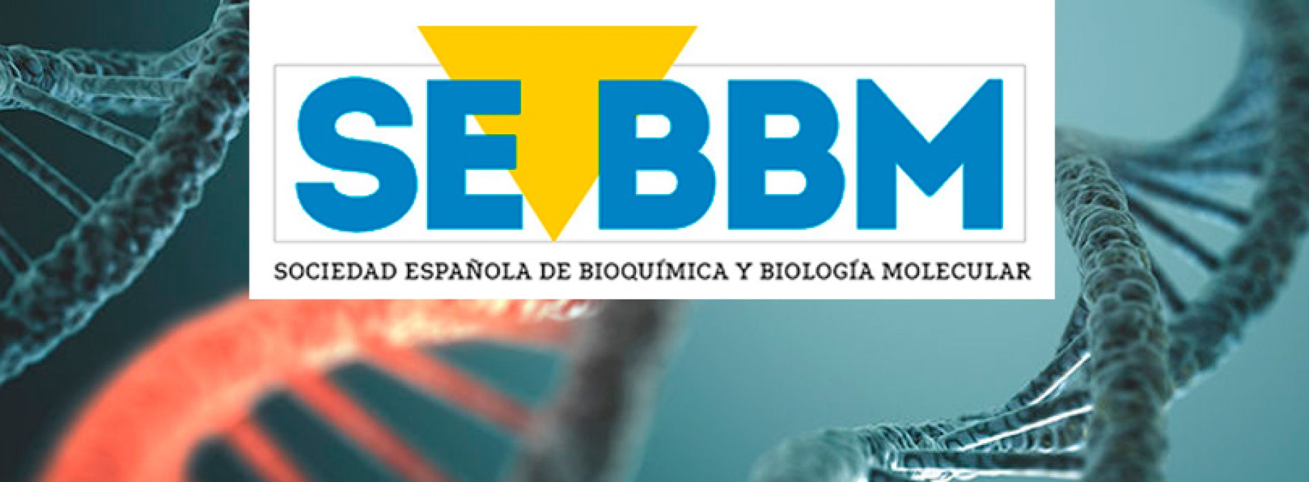 Revista de la Sociedad Española de Bioquímica y Biología Molecular | SEEBM