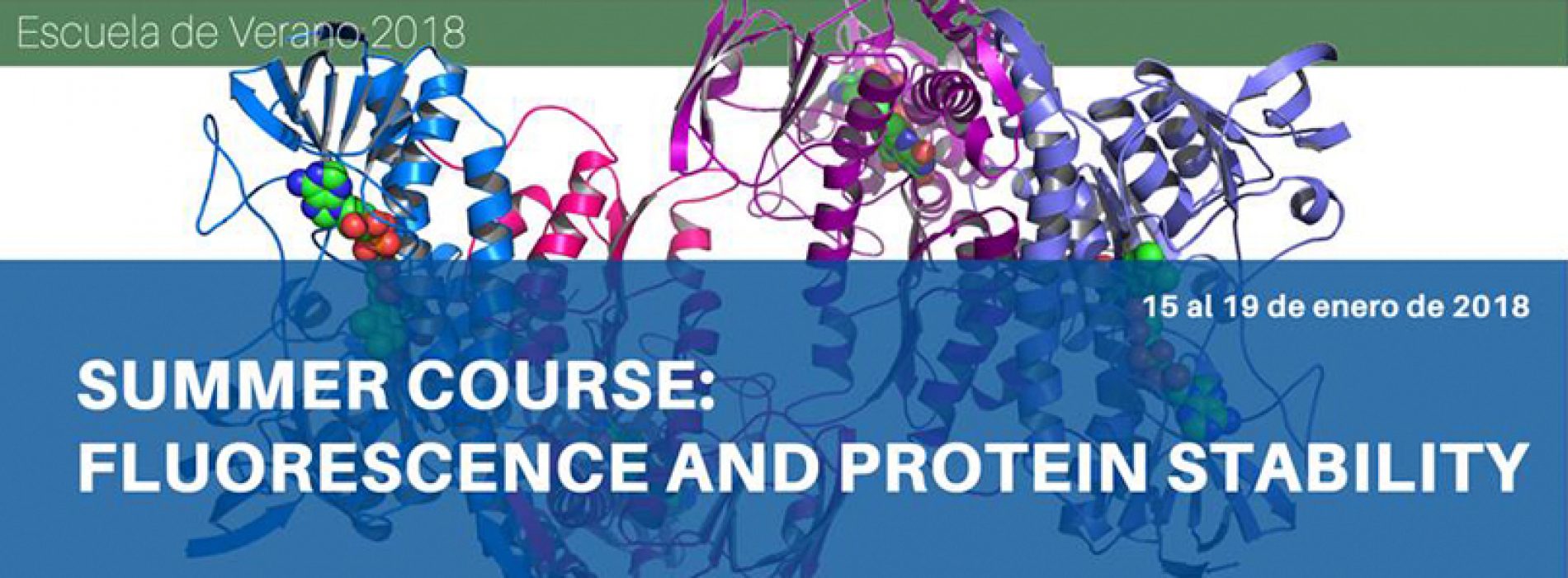 Summer Course: Fluorescence and Protein Stablility