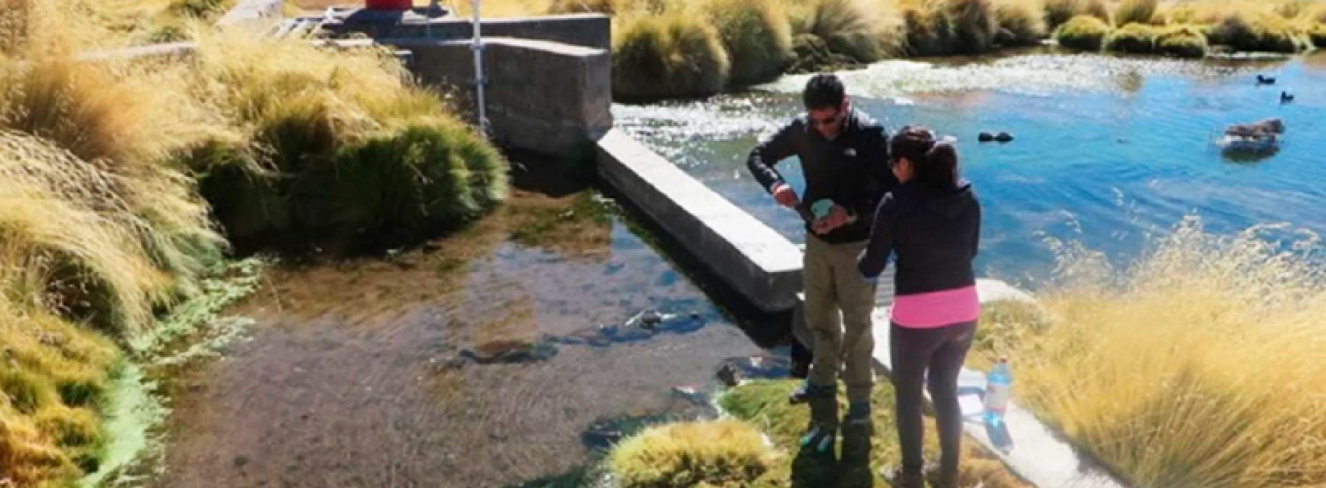 Científicos descontaminan de arsénico agua del río Loa usando bacterias