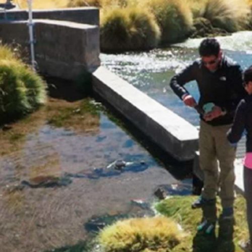 Científicos descontaminan de arsénico agua del río Loa usando bacterias