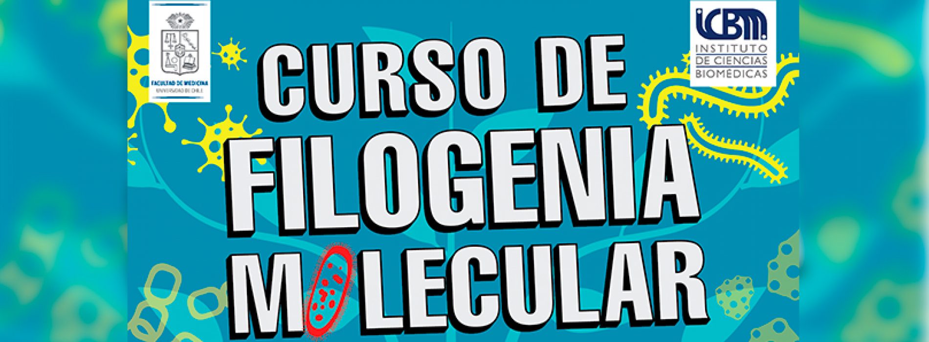 Course of phylogeny Molecular