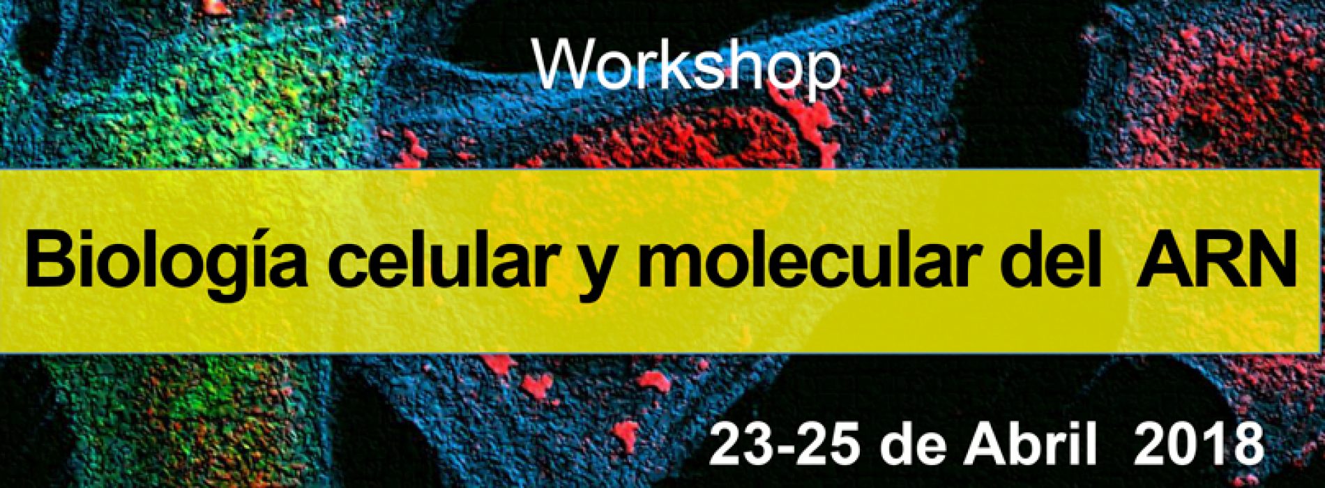 Workshop: Cell and molecular biology of RNA
