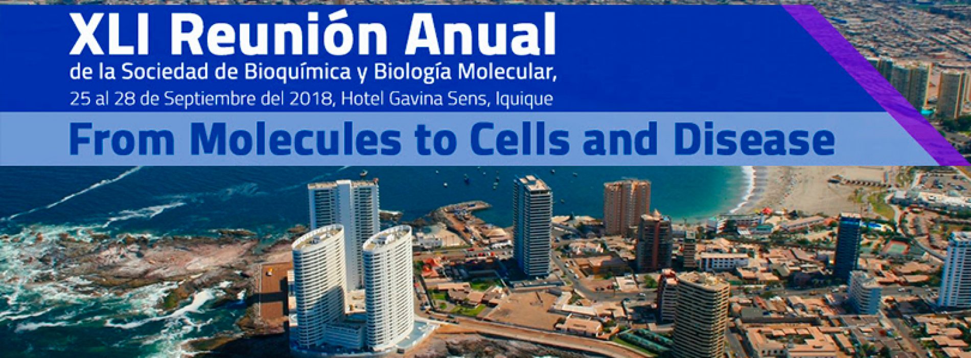 XLI Reunión Anual de la Sociedad de Bioquímica y Biología Molecular, 25 al 28 de Septiembre del 2018, Hotel Gavina Sens, Iquique