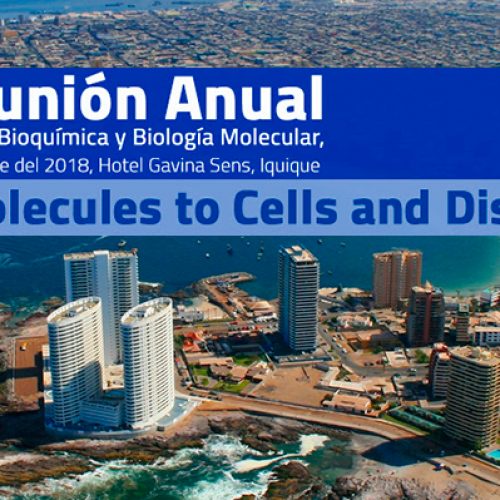 XLI Annual Meeting of the Society of Biochemistry and Molecular Biology, September 25-28, 2018, Hotel Gavina Sens, Iquique