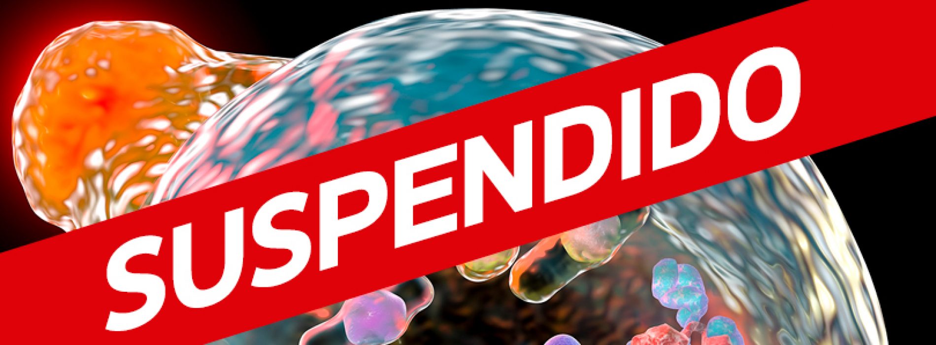 Suspended seminar of the Dr. Ricardo Escalante (17/01/2018)
