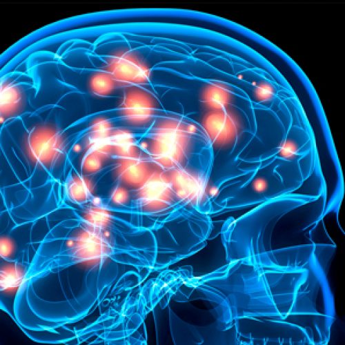 Brain-derived erythropoietin protects from intermittent hypoxia-induced cardio-respiratory dysfunction and oxidative stress in mice