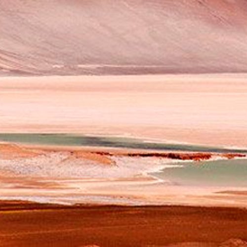DESIERTO DE ATACAMA: En el lugar más seco del mundo también hay vida