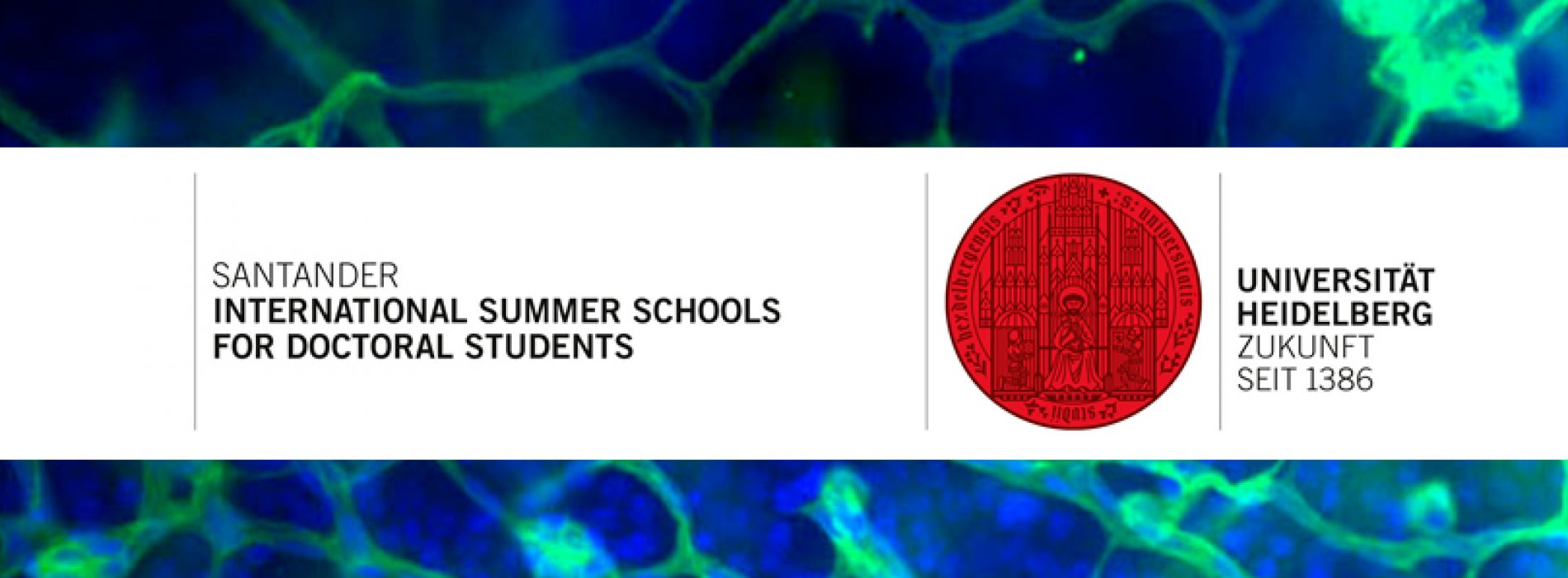 International Summer School Vascular Cell Functions in Health and Diseases – Santiago – Chile