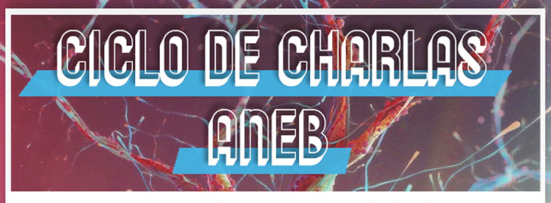 Ciclo de Charlas ANEB – Foro de difusión científica