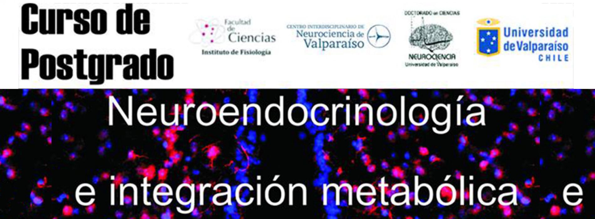 Curso de Postgrado: «Neuroendocrinología e integración metabólica»
