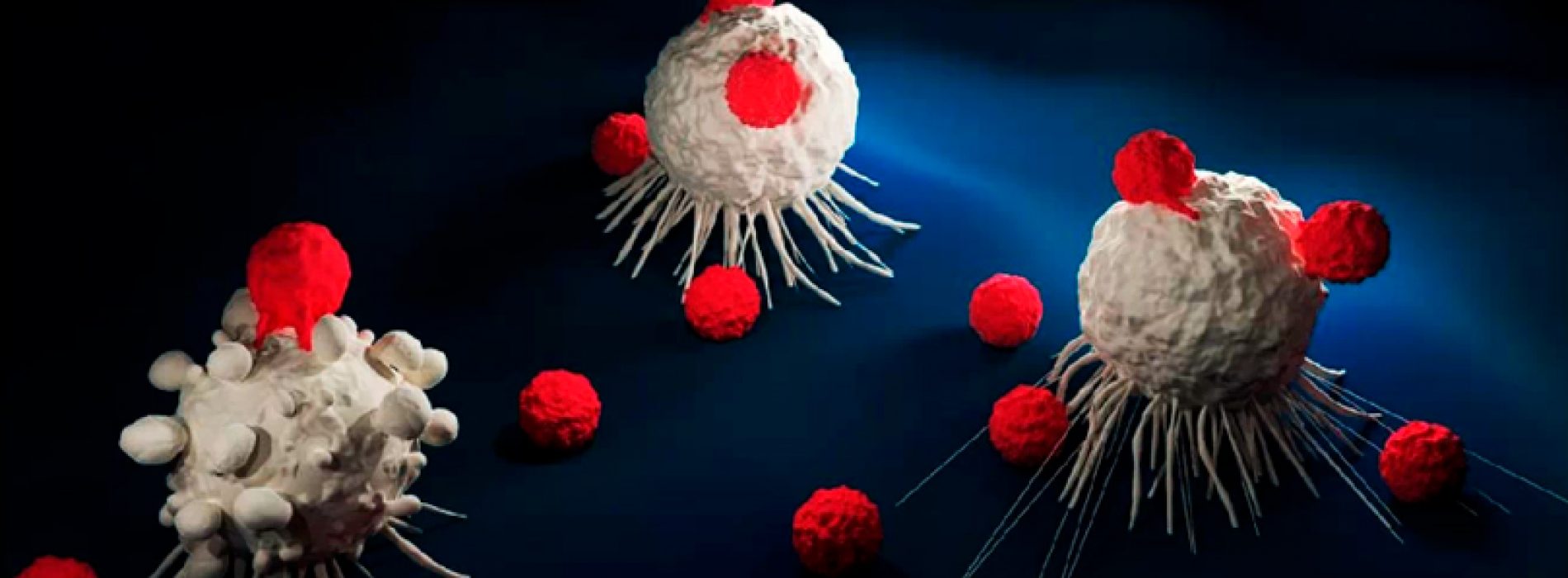 Inyección con linfocitos T bajo la piel permite esperar al cáncer y atacarlo
