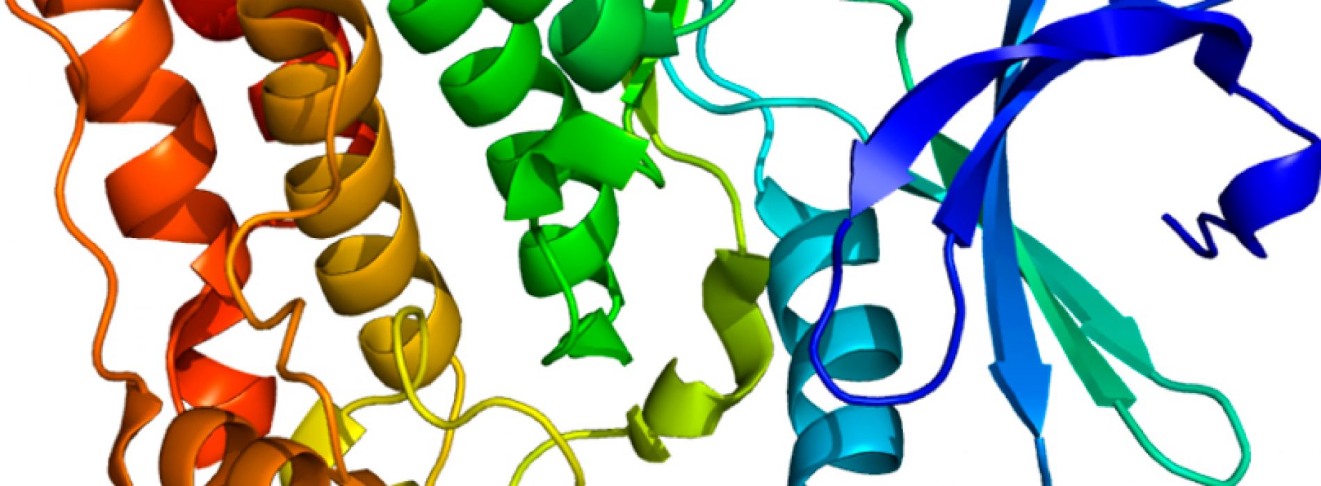 PROTEIN MISFOLDING DISORDERS