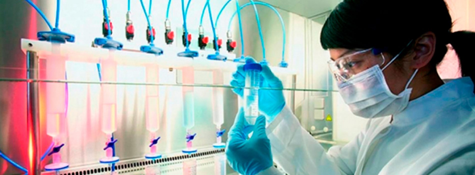 Sin ciencia en la escuela, ¿cómo sabremos de nuestros derechos genéticos?: hoy todo es ciencia