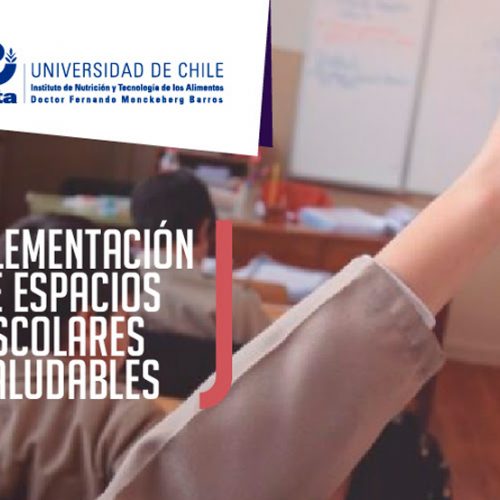 Actualízate! Diploma de Postitulo a Distancia Implementación de Espacios Escolares Saludables