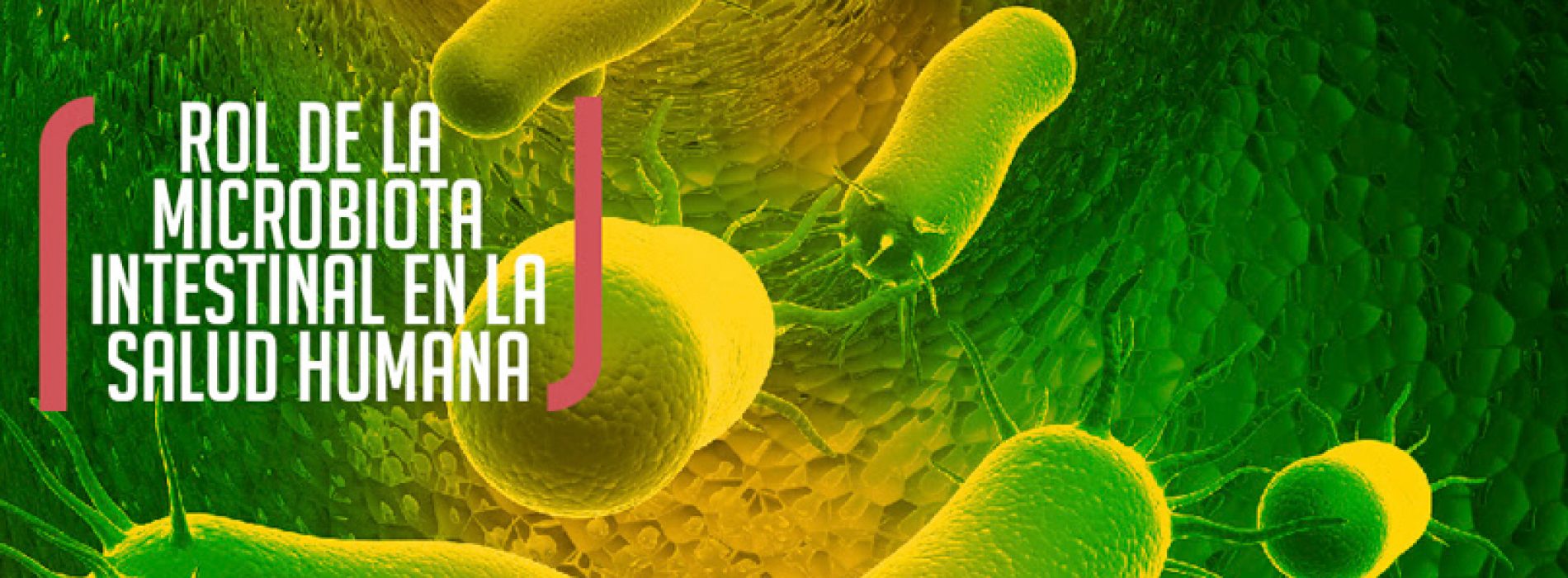 Actualízate! Curso de Perfeccionamiento a Distancia Rol de la Microbiota Intestinal en la Salud Humana