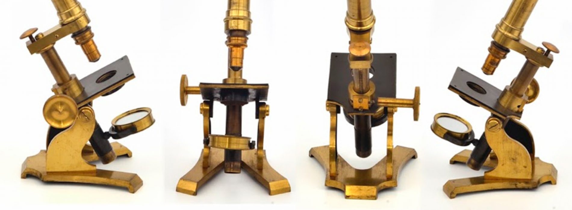 60 years of history, allowing to understand the development of the sciences