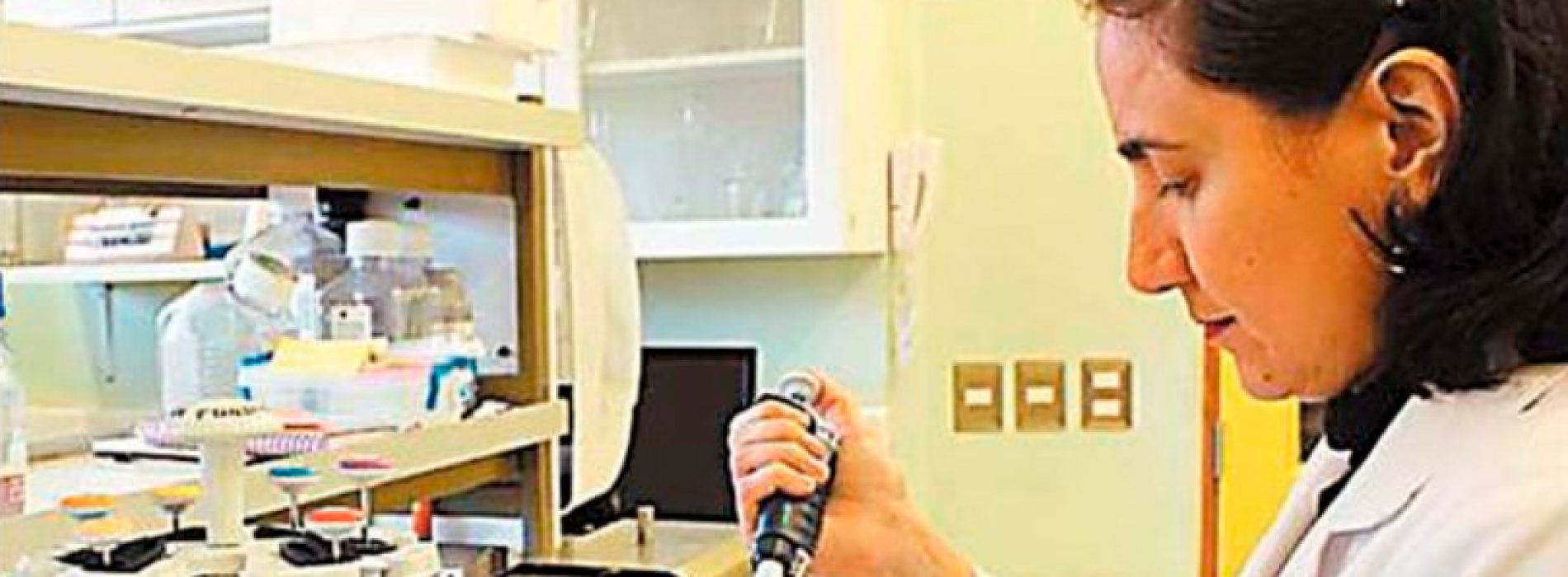 Descubren enzima de hongo antártico que tendrá aplicación en biotecnología