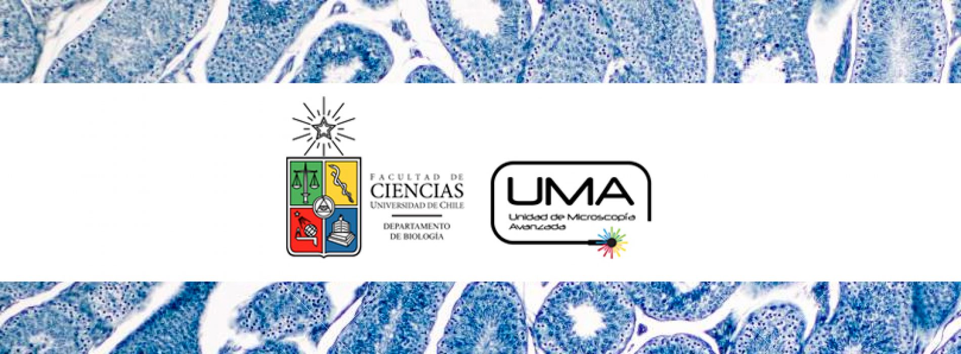 Proposal Presentation Fondequip 18 Automated System Of Videomicroscopy And Dynamic Cultivation Society Of Biochemistry And Molecular Biology Of Chile