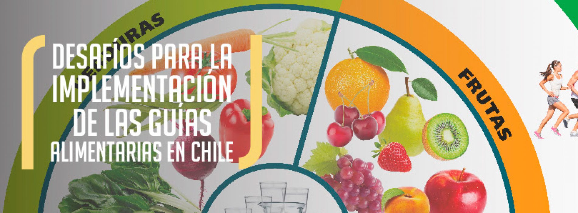 Actualízate! Curso de Desafíos para la Implementación de las Guías Alimentarias en Chile