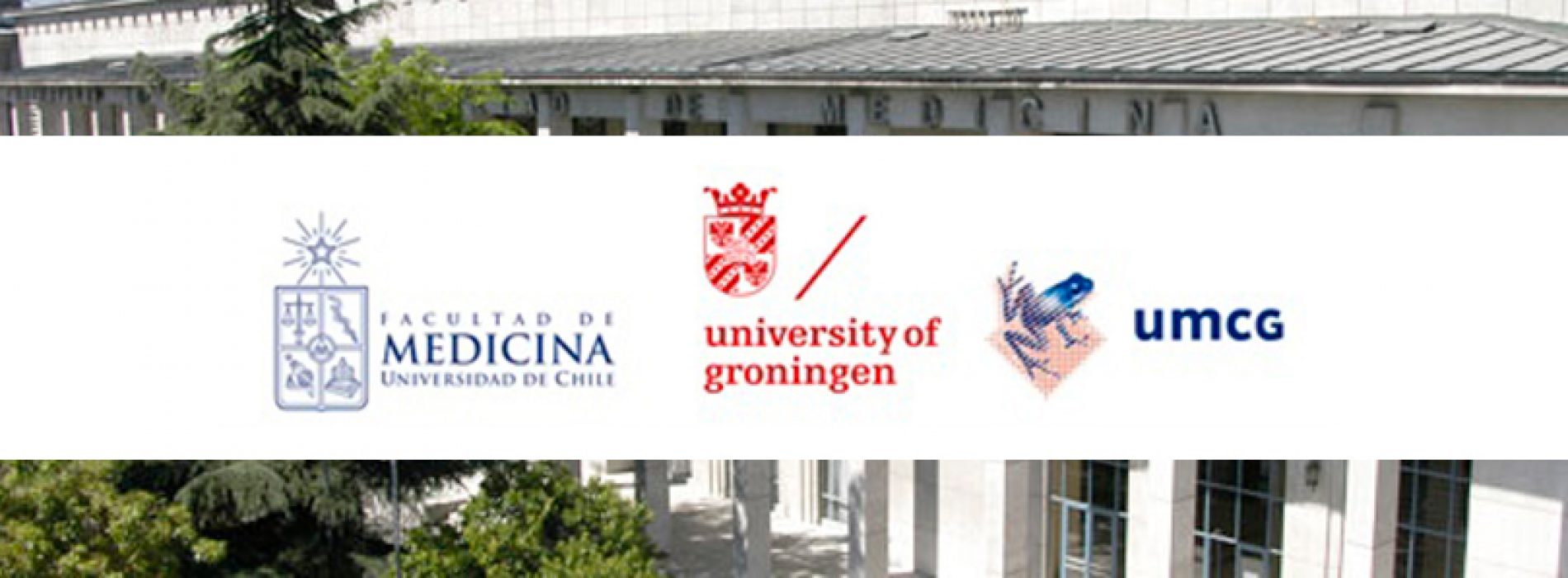 International Seminar July 4 – Faculty of Medicine, Universidad de Chile and University of Groningen