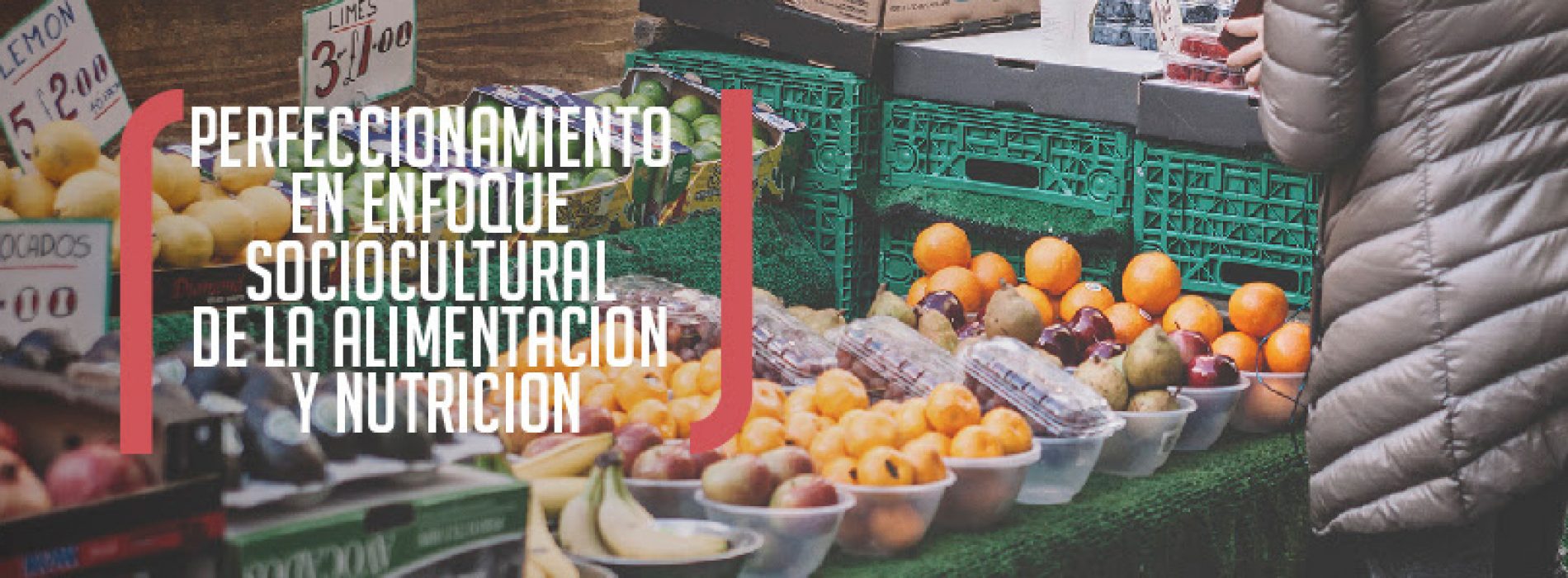 Update you! Training course distance socio-cultural approach to food and nutrition