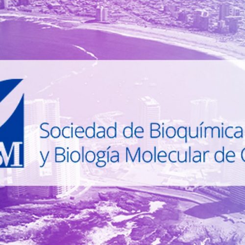 Pre-curso: Affinity measurements by capillary electrophoresis and force spectroscopy techniques