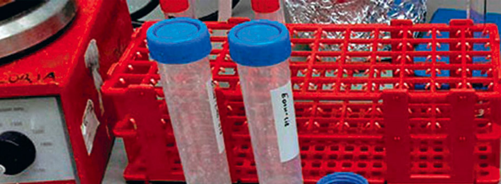 Investigadora de la U. de Chile crea aceite de pescado sin olor