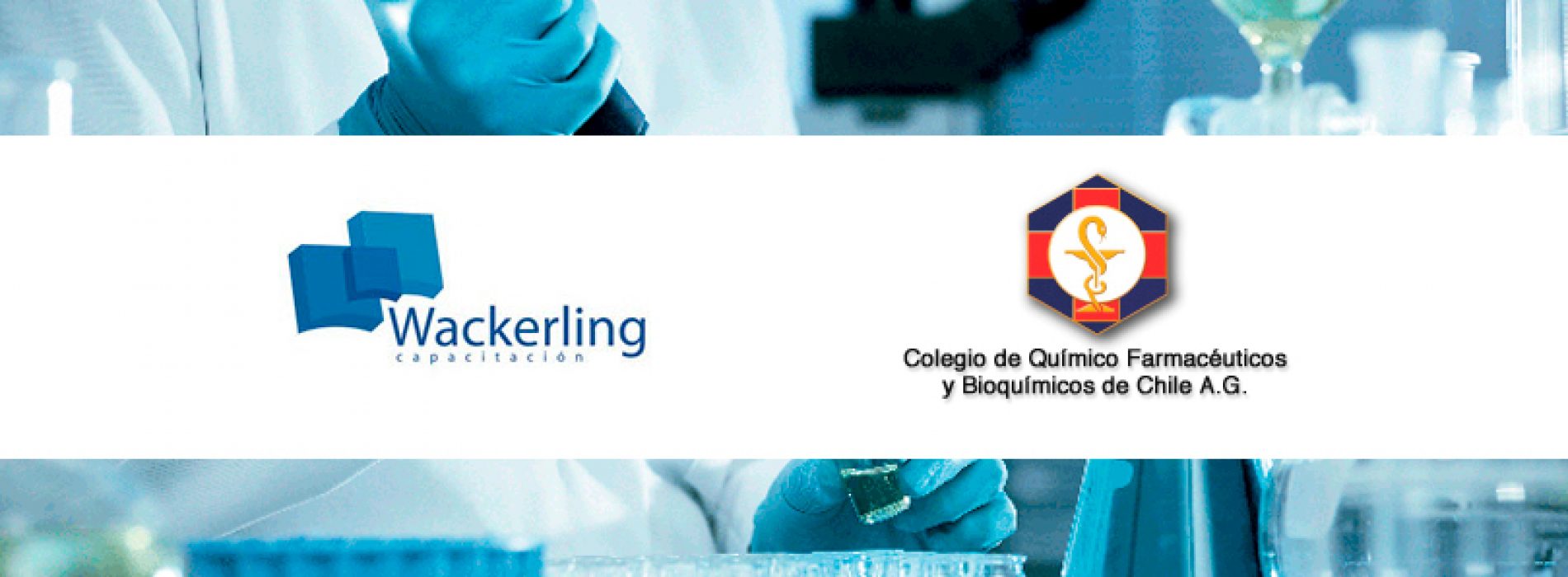 Curso Agosto «Aplicación de Buenas Prácticas de Documentación» // Wackerling Capacitación y Colegio de Químicos Farmacéuticos y Bioquímicos de Chile