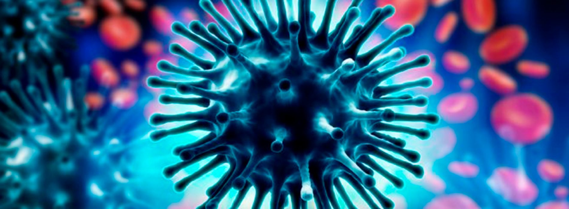 OncoTherad: A New Nanobiological Response Modifier, its Toxicological and Anticancer Activities in Animals and Humans