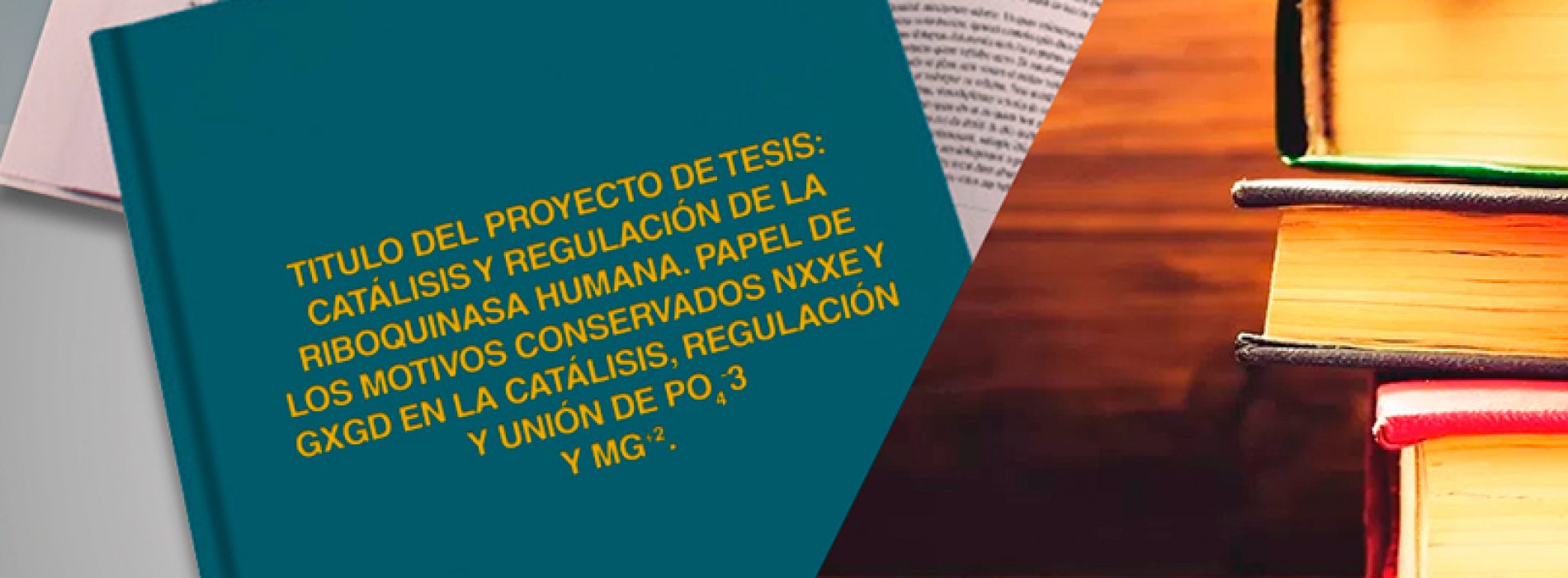 Tesis de Doctorado Diego Quiroga 2014