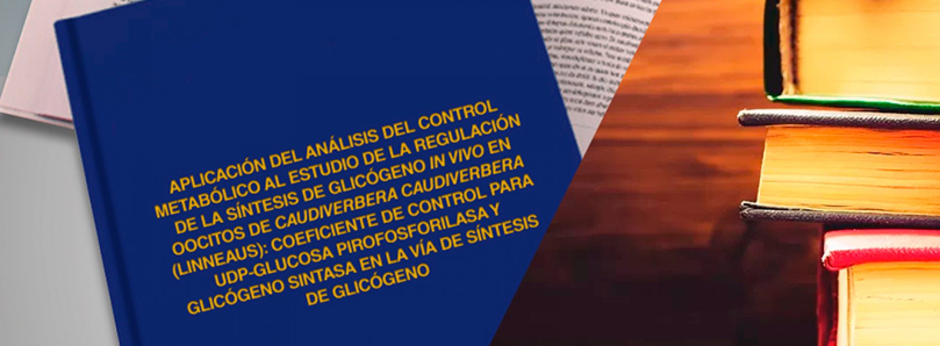 Undergraduate Christian Wilson Moya 2008, reviewing thesis in history