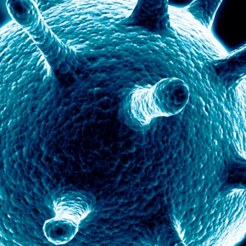 Doctoral course: topics in Virology