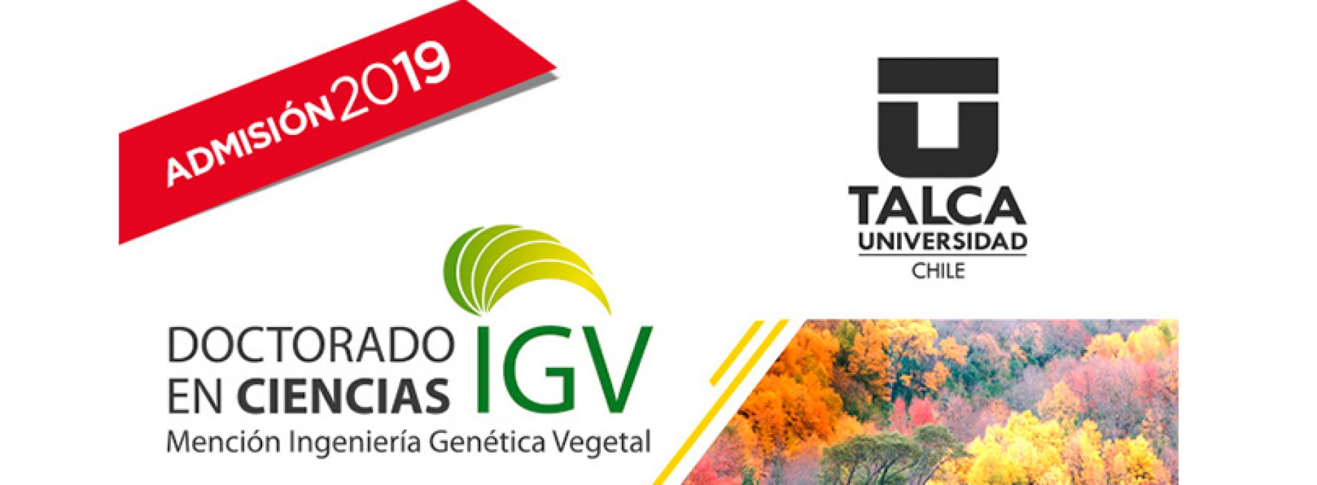 PhD in Sciences IGV
