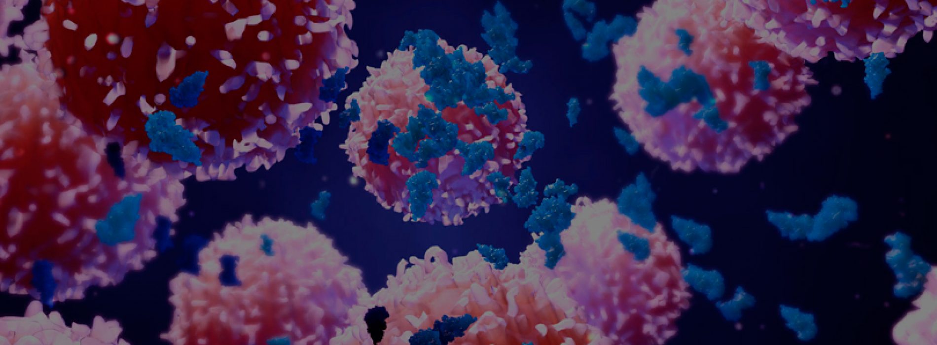 Molecular Cancer Research course: Discovery of markers and therapeutic targets