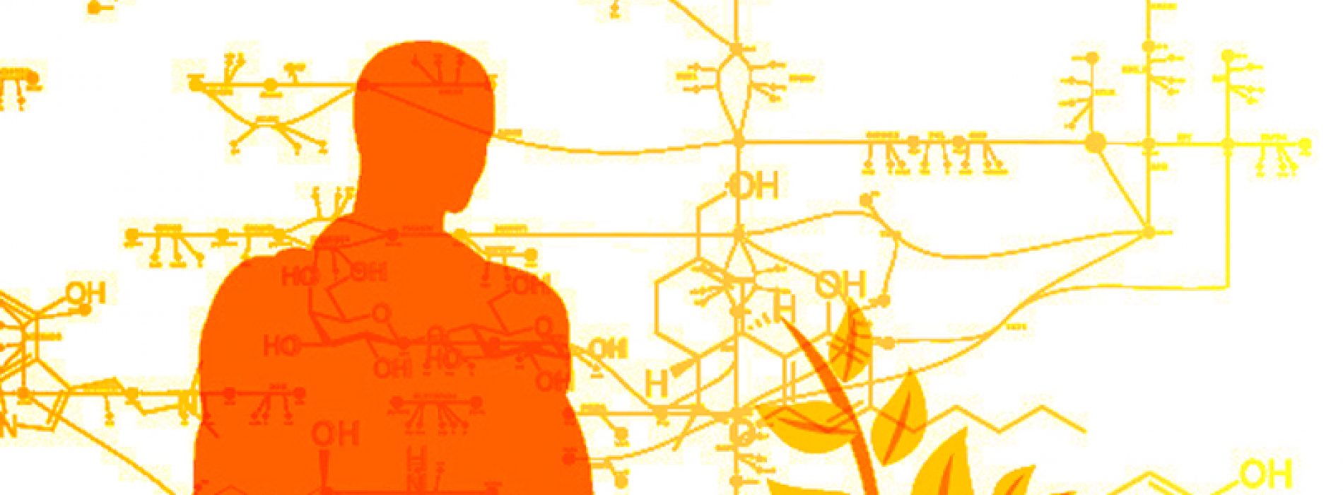 3rd Latin American Metabolomics Symposium (3rd LAMPS) — deadline September 15th